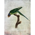 thumbnail image 3 of Butler, John 12x14 Black Modern Framed Museum Art Print Titled - Parrot Jungle IV, 3 of 5