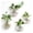4, variant on Wall Hanging Planter Set of 3, Hydroponic Plant Propagation Station for Home Office Decor
