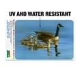 thumbnail image 2 of Canada Canadian Geese Family Home Business Office Sign, 2 of 7