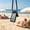 Waterproof Phone Pouch Under $5 a3, variant on Fufafayo Waterproof Phone Pouch for Beach Pool, Dry Bag with Card Holders, Waterproof Phone Case for Kayaking Hiking Snorkeling, Adjustable Lanyard Floating Phone Pouch for Outdoor Sports