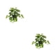 thumbnail image 3 of Plantas Artificiales Inteprter Hoja de Tortuga Falsa con Maceta 2 Conjunto, 3 of 6