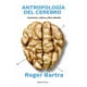 thumbnail image 1 of Libro Antropologia Del Cerebro Tapa Blanda, Autor Roger Bartra, Editorial Libros Grano De Sal, 1 of 2