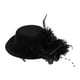 thumbnail image 1 of Pinza para el cabello con forma de sombrero de plumas, adorable horquilla para el cabello, accesorio para el cabello, 1 of 7