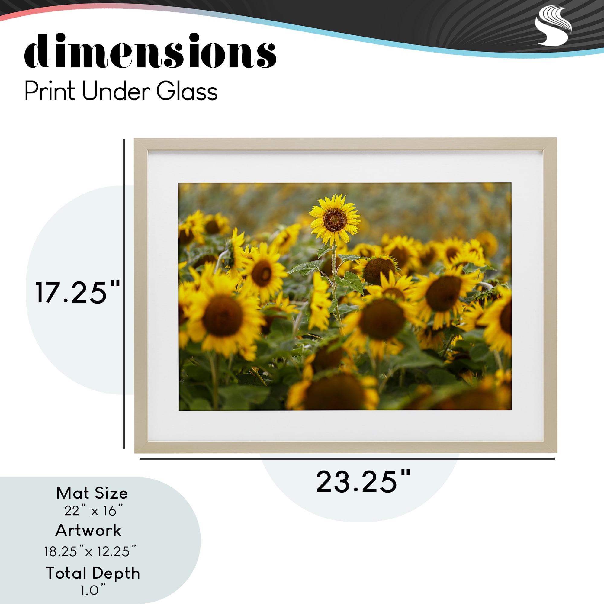 Central Sunflower in Meadow Birch Framed Print Under Glass, design by Andy Crawford