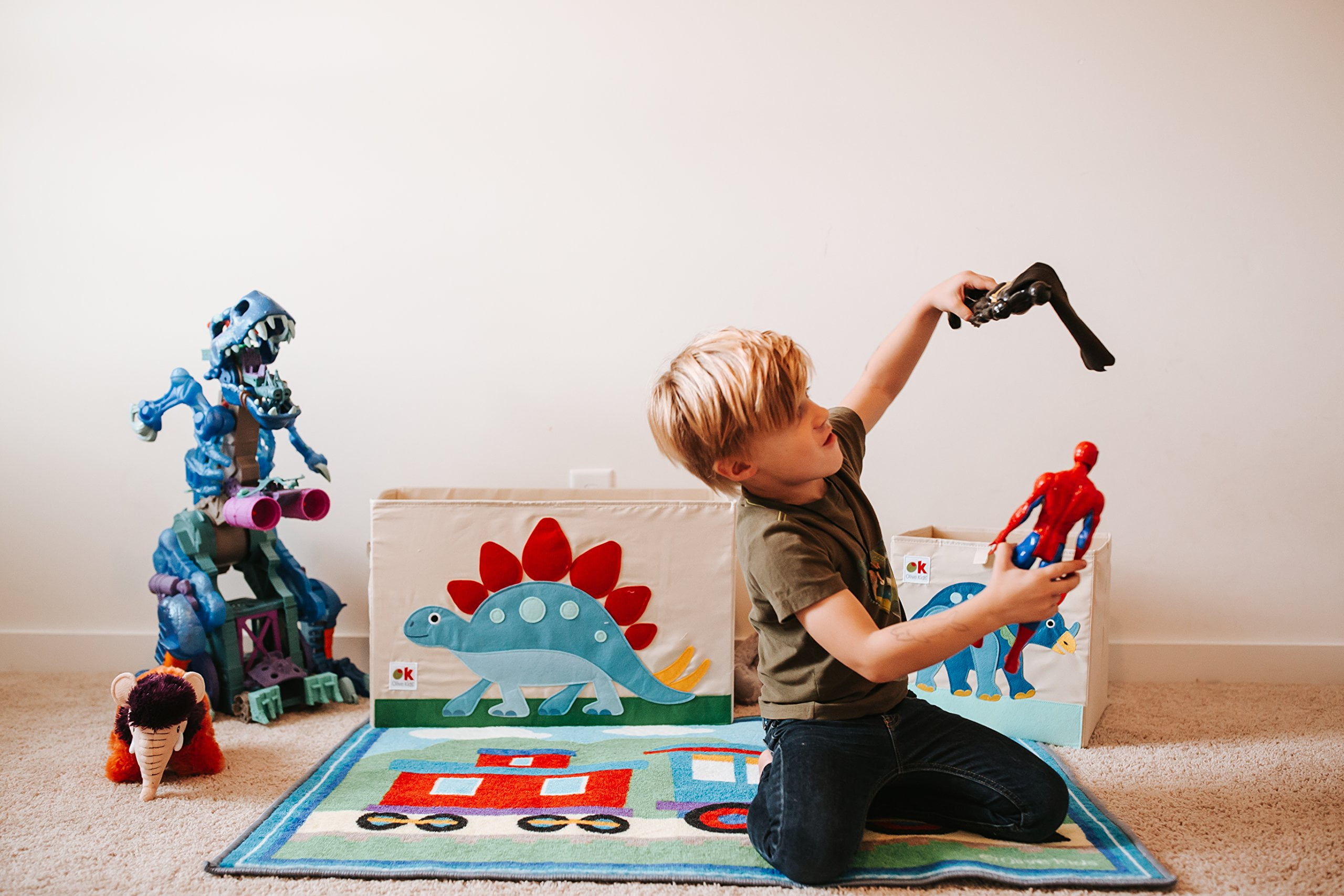 Dinosaur Land Toy Chest