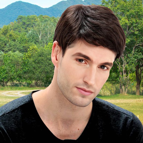 WIFKLSIIPG 25cm 10inch Wigs Man Slanting Handsome Short Straight Hair Europe and The United States Fashion Fiber Full Head Cover