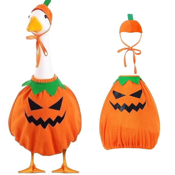 Halloween Porch Pumpkin Goose Outfit, 23 Fall Thanksgiving Clothes