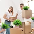 thumbnail image 4 of Artificial Potted Plants 3Pack Realistic Ferns Plants Plastic Rosemary Plants Potted in Pot Fake Small Eucalyptus Greenery for Office Desk Kitchen Bedroom Bathroom Outdoor Indoor Home Decor, 4 of 8