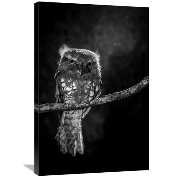 Global Gallery Wilianto,'Alone In The Night' Stretched Canvas Artwork