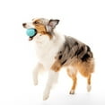 thumbnail image 3 of Playology Medium Crunchy Ball 2-Pack - Peanut Butter Scented Dog Toy, 3 of 6