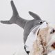 thumbnail image 1 of Sombreros para perros y gatos, sombrero de tiburón, accesorios para la cabeza, ropa, gorra, disfraz de mascota para Halloween, Pascua, uso , s S Yinane Sombreros de gato, 1 of 8