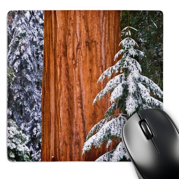 3dRose, Giant Sequoia trunk in winter, Giant Forest, Sequoia NP, California, MousePad