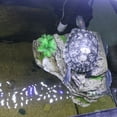 thumbnail image 2 of Fish Tank Decor Aquarium Resin Reptile Turtle Tortoise Terrace Hole Cave Rock Fish Tank Decor, 2 of 6