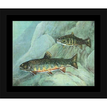 Two Brook Trout Fish Water Lake Lodge Painting Blue & Green, Framed Canvas Art by Pied Piper (Best Trout Bait For Lakes)