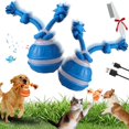 thumbnail image 1 of Balle pour Animaux de Compagnie Interactive Intelligente Améliorée 2026, Balle pour Chat Rechargeable par USB Activée par Mouvement avec Chant d'Oiseau, Balle Automatisée Durable Résistante à la Traction, pour Soulagement de l'Anxiété et de l'Ennui des Chiens (D), 1 of 8