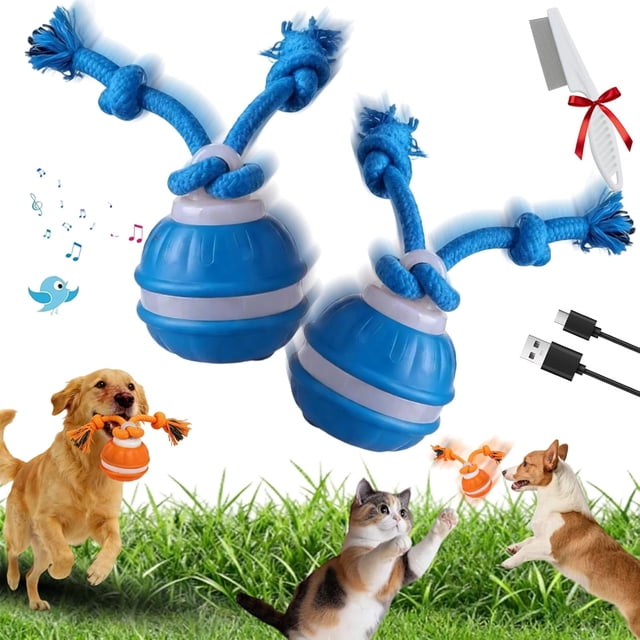 Balle pour Animaux de Compagnie Interactive Intelligente Améliorée 2026, Balle pour Chat Rechargeable par USB Activée par Mouvement avec Chant d'Oiseau, Balle Automatisée Durable Résistante à la Traction, pour Soulagement de l'Anxiété et de l'Ennui des Chiens (D)