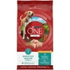 Purina ONE Dog Digestive Support, Natural Dry Dog Food, +Plus Digestive Health Formula, 8 lb. Bag