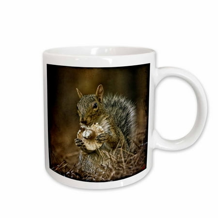 

3dRose Squirrel Eating Mushroom Ceramic Mug 11-ounce