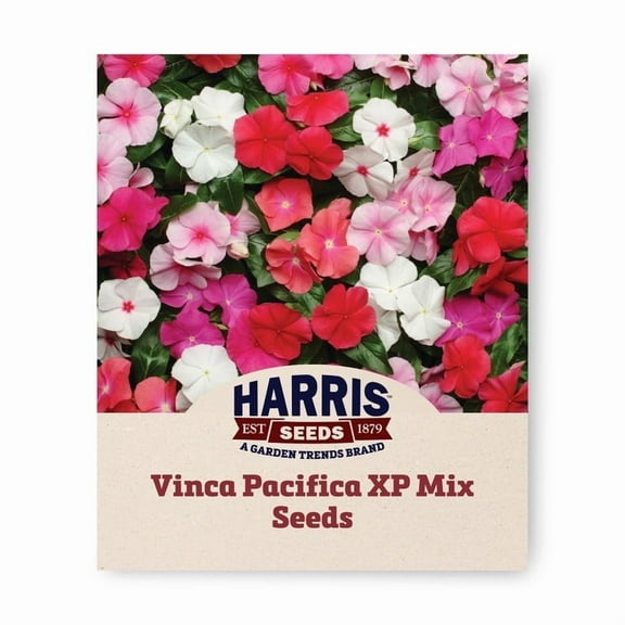 Harris Seeds - Vinca Seeds - Pacifica XP Mix Seeds - Early Blooming - 500 Seeds