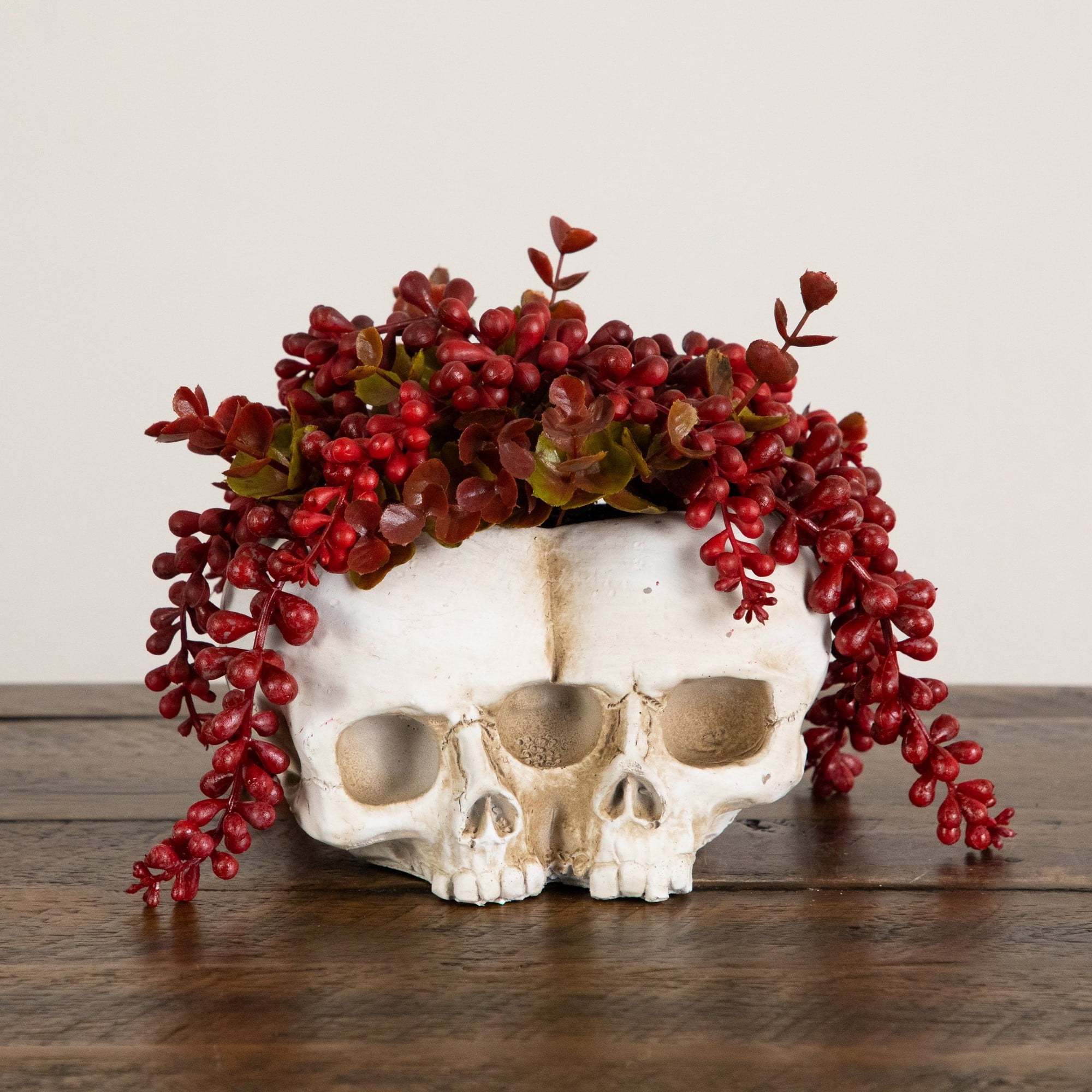 6in. Artificial Halloween String of Pearls in Double Skull Planter