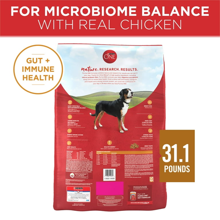 Purina ONE Natural +Plus Skin & Coat Formula Sensitive Stomach Dry Dog  Food, 31.1 lbs.