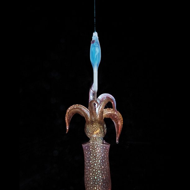 Pesca 2 uds señuelo de pesca calamar ojos artificiales 3D anzuelos de pesca de sepia (azul) Ehuebsd Para Estrenar