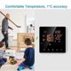 thumbnail image 4 of Controlador de temperatura de caldera de agua/gas con termostato inteligente, 4 of 4