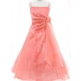 thumbnail image 3 of BNY Corner A-Line Organza Long Dress Coral 8 HC1251, 3 of 5