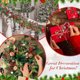 thumbnail image 5 of 1 pieza de tallo de decoración navideña, rama circular de caramelo, decoración de árbol de Navidad, festival de Navidad 2025, regalo de Año Nuevo, decoración de fiesta, 5 of 5