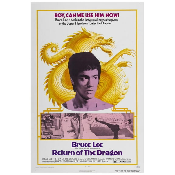Way of the Dragon - Bruce Lee - 1972 - v2 - Vintage Classic Kung Fu Movie Poster (8x12Inches-US/CANonly)