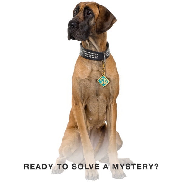 Brybelly 2.5 x 2.5 in. Scooby Doo Metal Dog Tag
