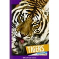 thumbnail image 1 of Pre-Owned Tigers (Paperback) by Arnold Ringstad, 1 of 1
