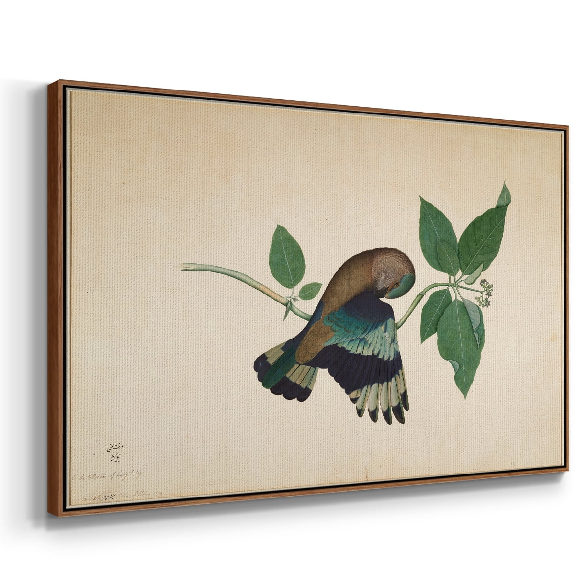 Vintage Animal Print-XXII By Wexford Home Framed in Walnut Wood Gallery Wrapped Canvas 17 in. x 25 in.