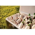 thumbnail image 5 of Yuengling Lager Beer, 12 Pack Beer, 12 fl oz Aluminum Cans, 4.5% ABV, Domestic Lager, 5 of 10