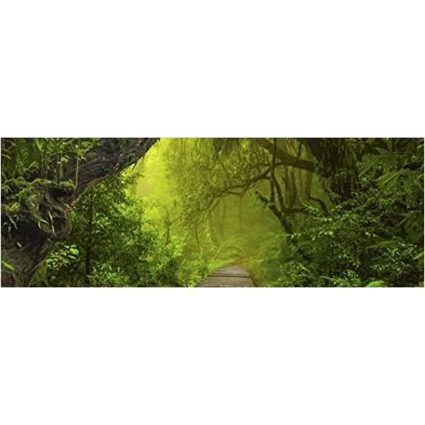 aquarium terrarium backgrounds main (rainforest with walkway, 60”l x 21