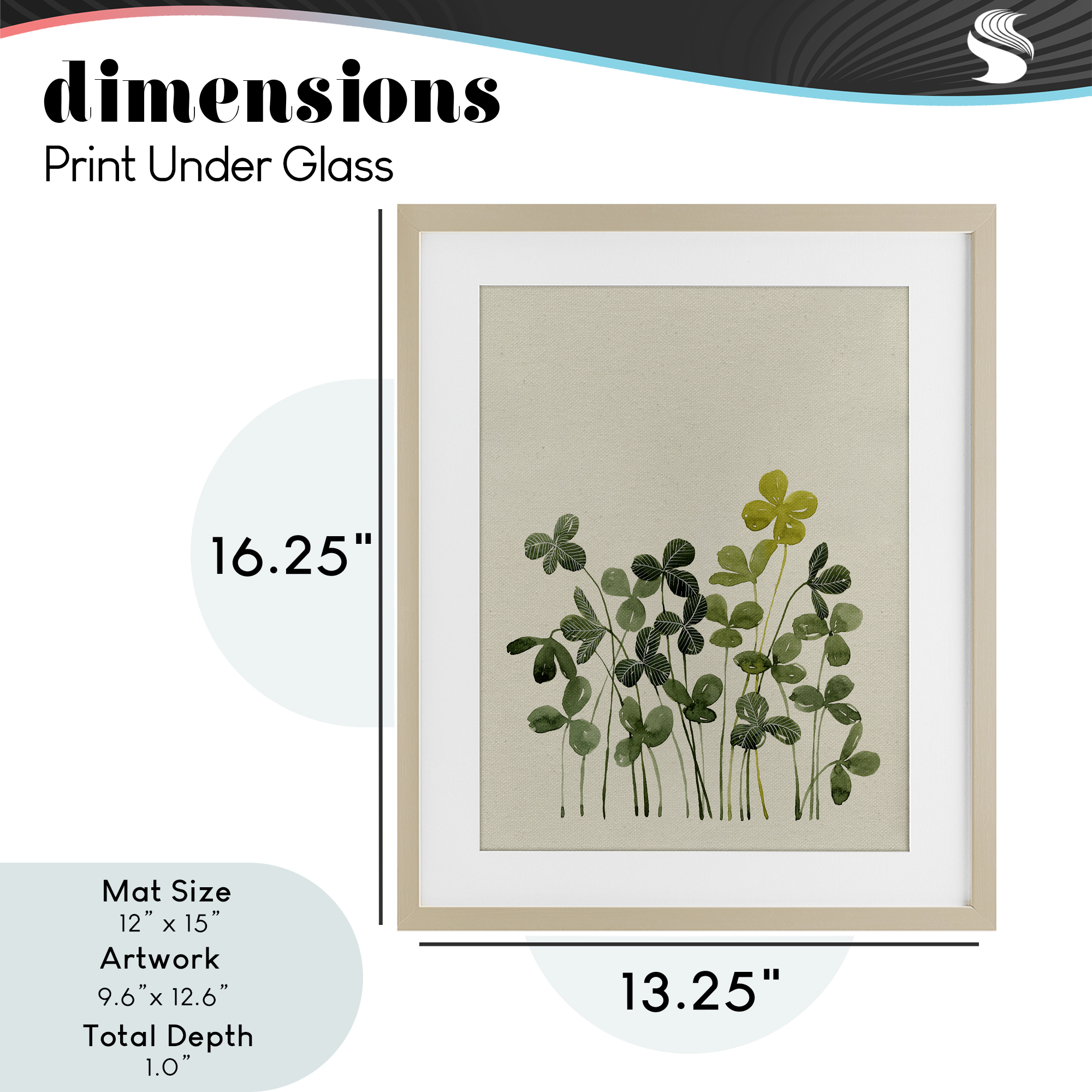 Hidden Gems Botanicals Birch Framed Print Under Glass, design by Grace Popp