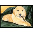 thumbnail image 1 of Carolines Treasures SS8761MAT Golden Retriever Tapis Intérieur Extérieur - 18 x 27 Po., 1 of 4