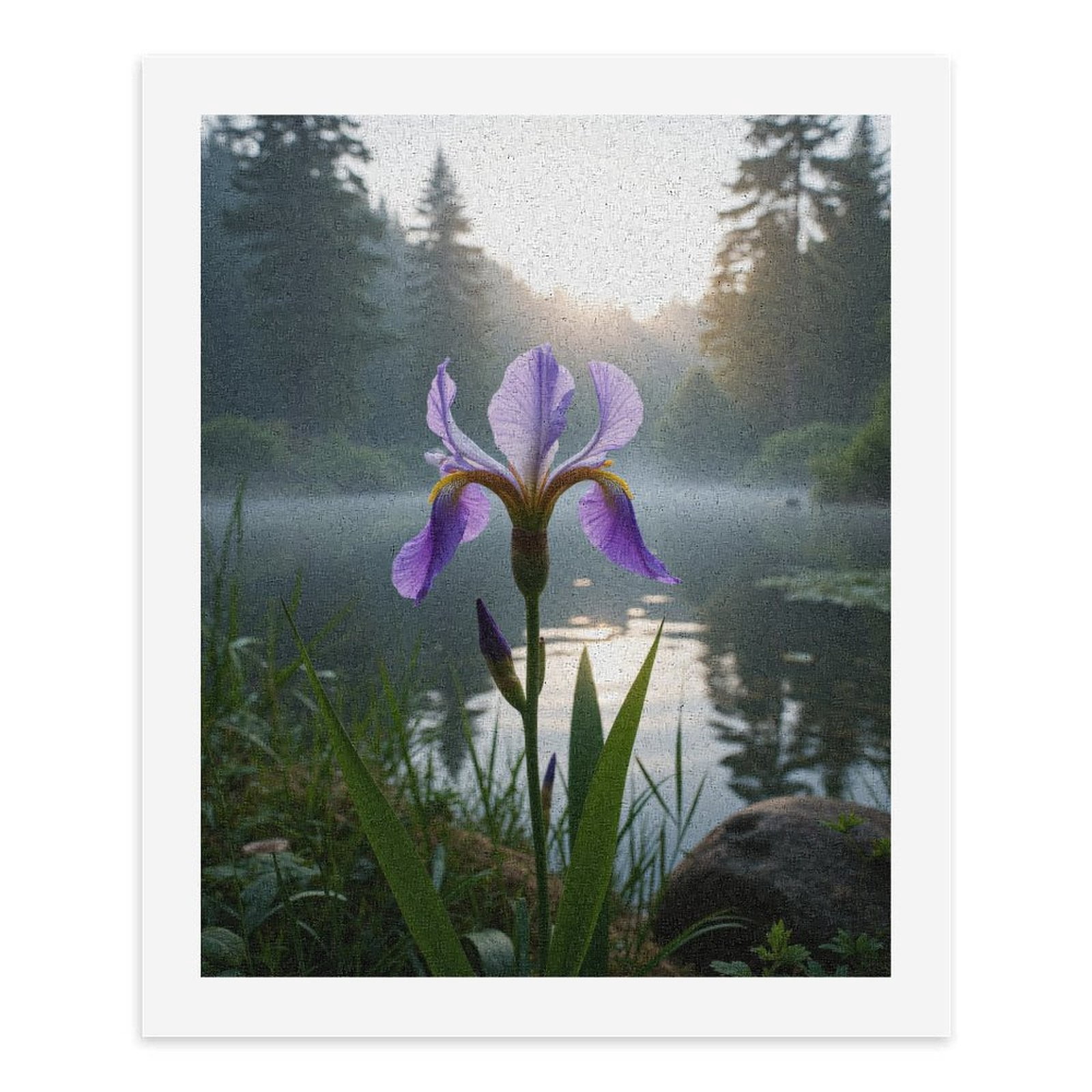 Paint By Numbers Kit for Adults Beginner - DIY Purple Iris Misty Lake Sunrise Canvas Painting Kits for Adults, Frameless Paint By Number for Adults for Home Wall Decor 16x20 Inch