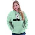 thumbnail image 4 of Llamaste Namaste Spiritual Llama Hoodie Sweatshirt Women Men Brisco Brands S, 4 of 6