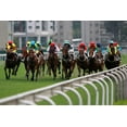 thumbnail image 2 of Horse Racing Wall Mural by Wallmonkeys Peel and Stick Graphic (18 in W x 12 in H) WM340468, 2 of 4