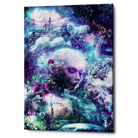 Epic Graffiti "Discovering The Cosmic Consciousness" by Cameron Gray, Giclee Canvas Wall Art, 18" x 26" 18"x26"