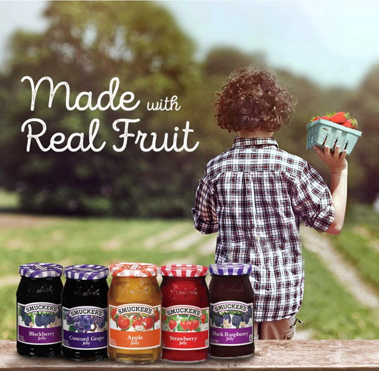 Smucker's, Concord Grape Jelly 12 oz (Pack of 4)