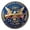 color, variant on Superior-Grade 250 Years of Greatness Commemorative Coin - Durable American Anniversary Coin for Collectors, Patriotic Displays, and Historical Gifting
