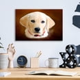 thumbnail image 4 of Epic Art 'Dog 1A' by Ata Alishahi, Acrylic Glass Wall Art, 16"x12", 4 of 8