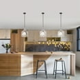 thumbnail image 2 of Daelan 12 in. 1-Light Indoor Pear Black Finish Pendant Light, 2 of 4