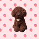 thumbnail image 1 of 1pc, Simulation Teddy Dog Plush Doll(7.87"x3.15"), Cute Soft Puppy Toy, Animal Dolls, Birthday Gifts, Party Gifts, Holiday Supplies, Room Decor, Home Decor, 1 of 4