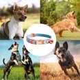 thumbnail image 5 of Collar de perro de estilo único Dinheiro, collar de perro mascota con lazo de regalo, adecuado para perros niñas o niños., 5 of 5