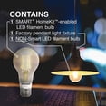 thumbnail image 5 of Sylvania 60053 LED Dimmable 60W Hudson Factory 12 Inch Pendant A19 Light, Black, 5 of 5