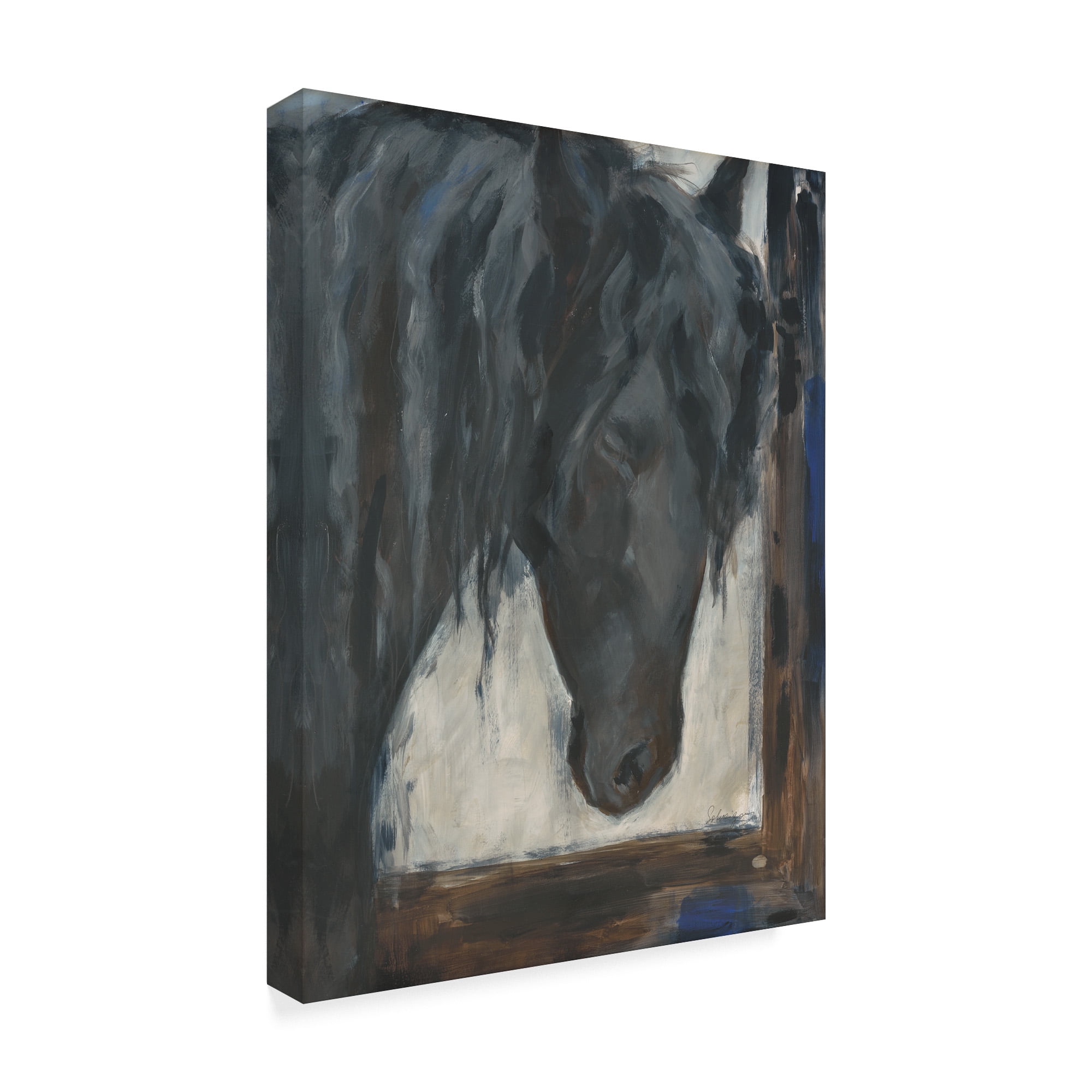 Trademark Fine Art 'Hilandero' Canvas Art by Solveiga