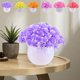 thumbnail image 1 of Plantas artificiales en maceta para decoración del hogar - Bola de bonsái de plástico de 4,7" en amarillo, naranja, rojo, rosa, morado - Flores artificiales de sobremesa, 1 of 6
